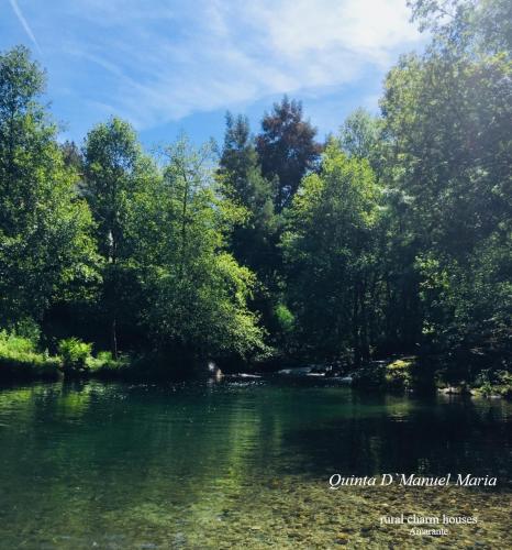 Amarante-Quinta D’Manuel Maria, Rural Charm Houses في أمارانتي: نهر فيه اشجار وماء اخضر