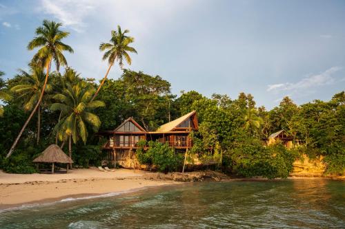 a resort on the shore of a beach with palm trees at Savasi Island Resort in Savusavu