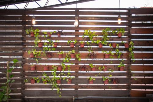 a bunch of plants in pots on a wooden wall at Corner Hostel & Cafe in Taipei