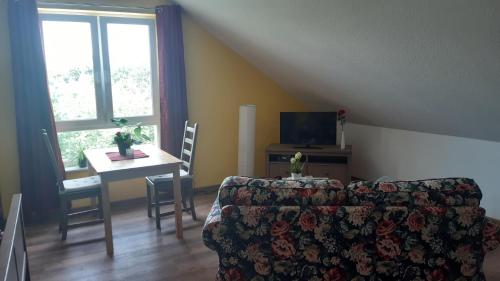 TV a/nebo společenská místnost v ubytování Haus am Park mit Sauna Nähe Eilenburg Wurzen