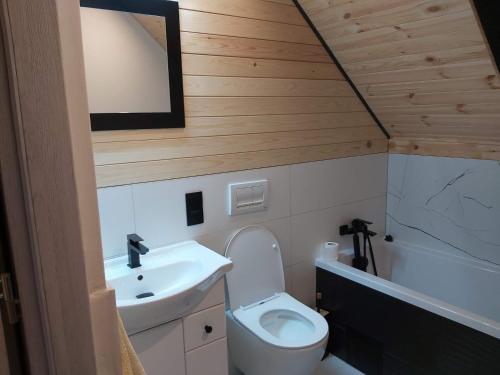 a small bathroom with a toilet and a sink at Domek u Szajnosi in Bogusławiec