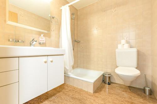 グリンデルワルトにあるChalet Grabenのバスルーム(トイレ、洗面台、シャワー付)
