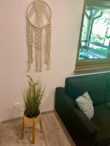 a living room with a green couch and a plant at Antonówka in Woryty