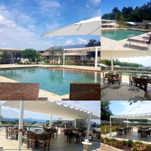 a collage of photos of a pool with tables and umbrellas at La Collina dei Cavalieri in Belvedere Ostrense
