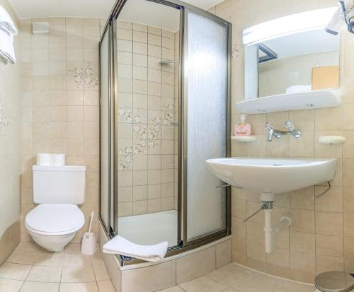 ein Bad mit einer Dusche, einem Waschbecken und einem WC in der Unterkunft Kehr Apartment in Grindelwald