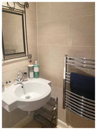 a bathroom with a white sink and a mirror at Sea House in Hastings