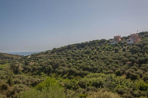 Φυσικό τοπίο κοντά σε αυτό το διαμέρισμα