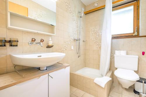 e bagno con lavandino, servizi igienici e doccia. di Lauberhorn Apartment a Grindelwald