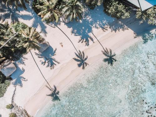 an overhead view of a beach with palm trees and water at Savasi Island Resort in Savusavu