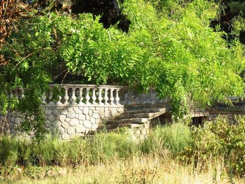 a stone wall with some trees and grass at Studio Églantine in Lorgues