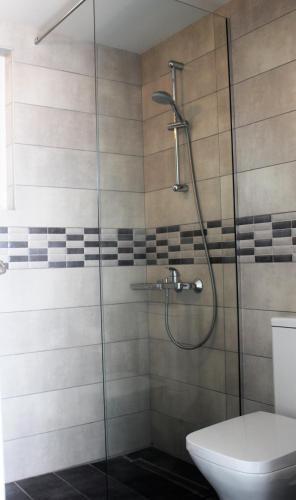 ein Badezimmer mit Glasdusche und WC in der Unterkunft Rodis Studios in Planos