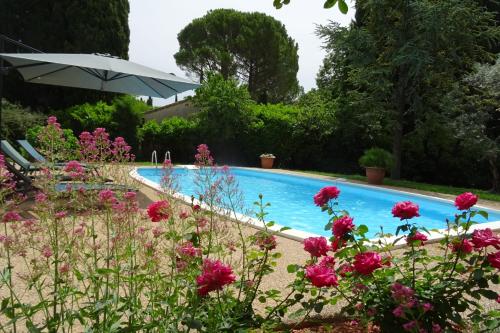 - une piscine avec des fleurs roses et un parasol dans l'établissement La Mésange Bleue - piscine privée, à LʼIsle-sur-la-Sorgue