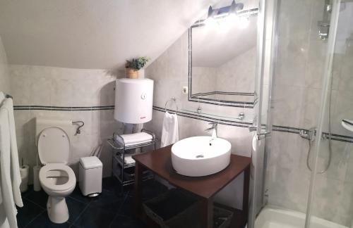 een badkamer met een wastafel, een toilet en een douche bij Vila Jadran in Omiš