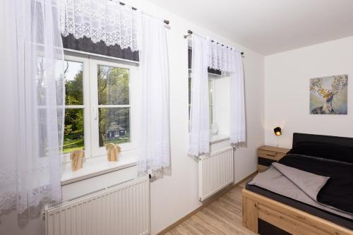 1 dormitorio con 1 cama y 2 ventanas en Apartmán 21 Hubertus, en Karlova Studánka