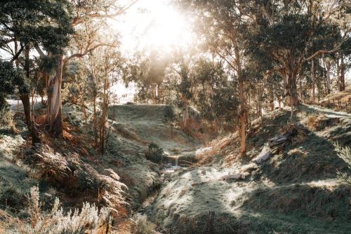 a dirt road in a forest with the sun shining at One Tree Hill Wilson prom and Ocean views in Toora