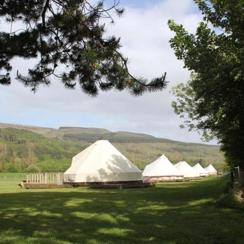 three tents in a field with mountains in the background at Swanns Bridge Glamping in Limavady