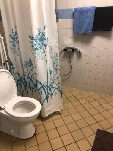 łazienka z toaletą i zasłoną prysznicową w obiekcie Langø, ferielejlighed w mieście Nakskov