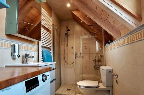 y baño con aseo, lavabo y ducha. en gemütliche Ferienwohnung auf 2 Etagen mit Dachterrasse, en Wangen im Allgäu