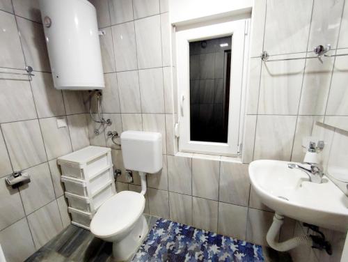 a bathroom with a toilet and a sink at Apartments and Rooms Minex in Trebinje