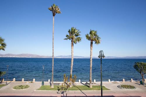 a group of palm trees next to the water at KoSea Boutique Hotel in Kos Town