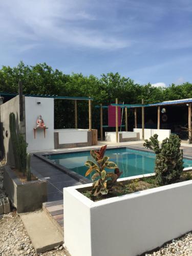 una piscina en un patio con plantas en Paraiso Lounge, en Santa Marta