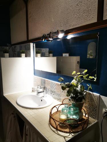 un comptoir de salle de bain avec un lavabo et un miroir dans l'établissement Gîte de La Pomerie, à Chiché