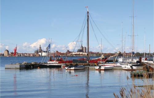 a group of boats docked in a harbor at Ferienhaus Seemöve Altefähr in Altefähr