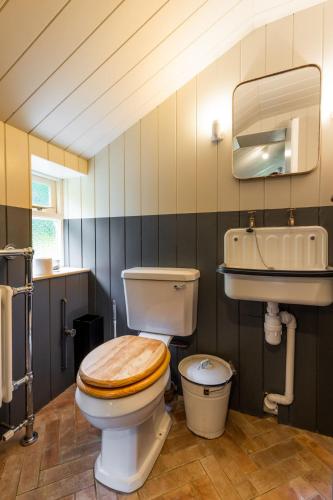 a bathroom with a toilet and a sink at Host & Stay - Haclins Cottage in Fakenham