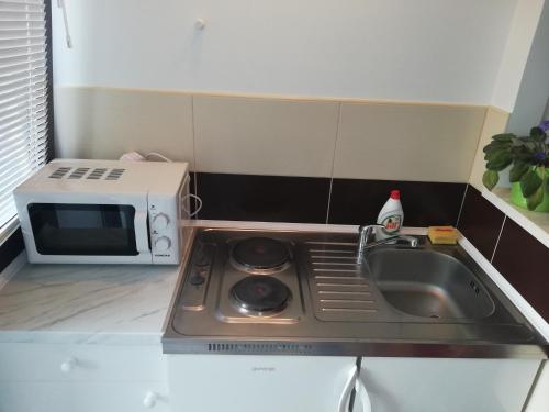 a small kitchen with a sink and a microwave at Lana in Goveđari