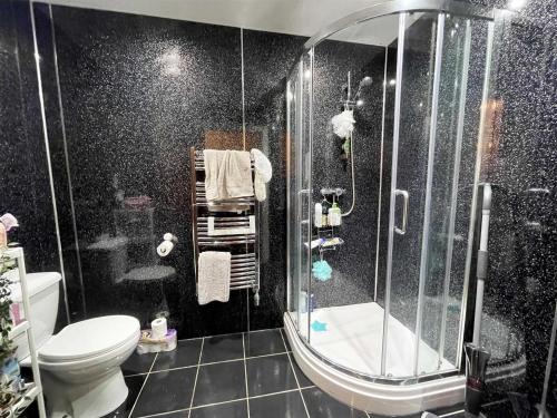 a bathroom with a shower and a toilet at Ground Main Door with Private Parking in St. Andrews