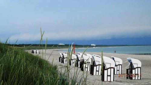 a row of chairs sitting on a beach at Kaeptn Brass Strandurlaub max 4 Pe in Dierhagen