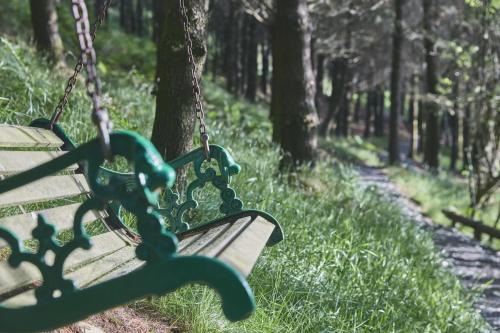 Gallery image of Elf Yurt - Yurtopia in Aberystwyth