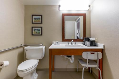 a bathroom with a toilet and a sink with a mirror at Comfort Inn University Durham - Chapel Hill in Durham