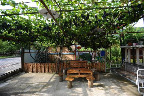 a wooden bench sitting under a tree at chelo in Ambrolauri