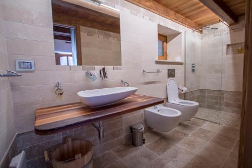 a bathroom with a sink and a toilet at La Grandze in Allein