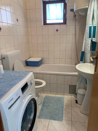 a bathroom with a washing machine in a bathroom at Holiday Apartments Lučić - Feels like Home, away from Home in Ražanj