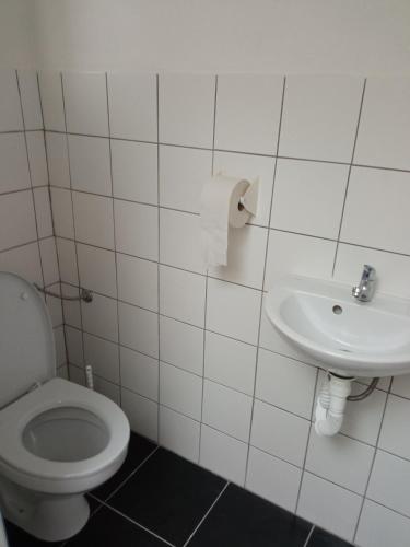 a bathroom with a toilet and a sink at Apartmán Hulín, Chrášťany in Hulín