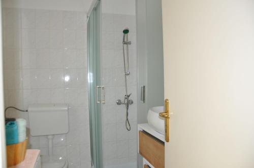 La salle de bains est pourvue d'une douche, de toilettes et d'un lavabo. dans l'établissement Apartmaji Štamcar, à Izola