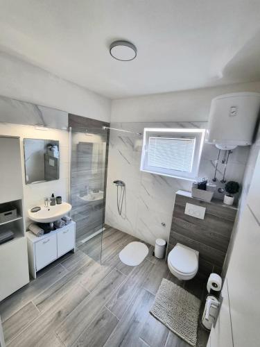 a bathroom with a shower and a toilet and a sink at Apartman Marijana in Pakoštane