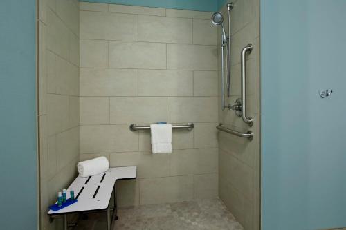 y baño con ducha y lavamanos. en Holiday Inn Express & Suites - Lake Charles South Casino Area, an IHG Hotel en Lake Charles