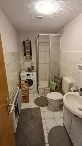 a bathroom with a toilet a sink and a washing machine at Bauernstübchen in Below