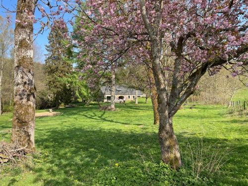 Gallery image of Grange de Lesse in Libin