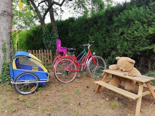 a teddy bear sitting on a picnic table next to two bikes at Gartenapartment Storchenblick in Weiden am See