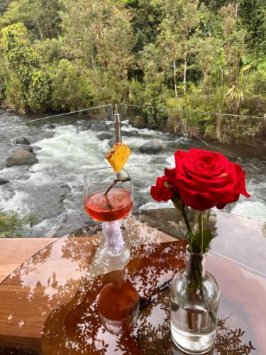 a glass of wine and a vase with a rose at Saguamby Mindo Lodge in Mindo