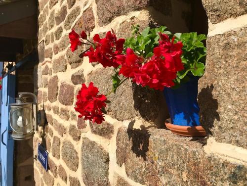 a blue vase with red flowers sitting on a wall at La Martinière in Saint-Aubin-Fosse-Louvain