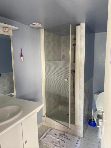 ein Bad mit einer Dusche und einem Waschbecken in der Unterkunft Maison typique de sologne in La Chapelle-dʼAngillon