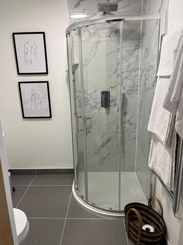 a bathroom with a shower with a glass at Peak Willow Apartments in Leek