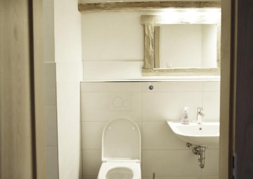 a bathroom with a toilet and a sink and a mirror at Ferienhof Forstmoar in Gars am Inn