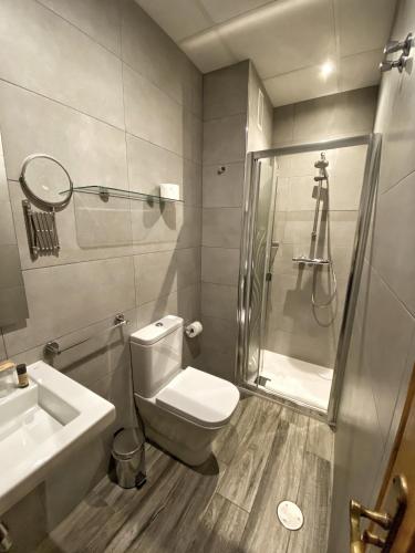 a bathroom with a toilet and a shower and a sink at Hotel Ribeira Sacra in Monforte de Lemos