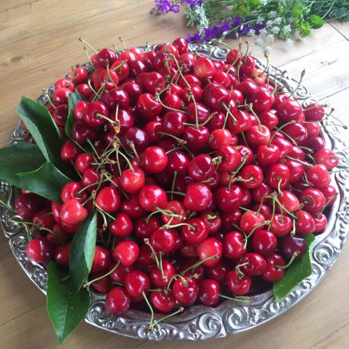a bowl of cherries on a plate on a table at Apple Tree Family Home (ECO) in Dzorakap